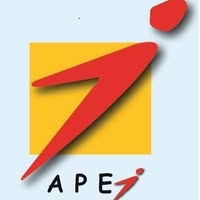 Agence pour la Promotion de l'emploi et des Jeunes (APEJ)